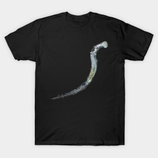 Aeolosoma worm under the microscope T-Shirt